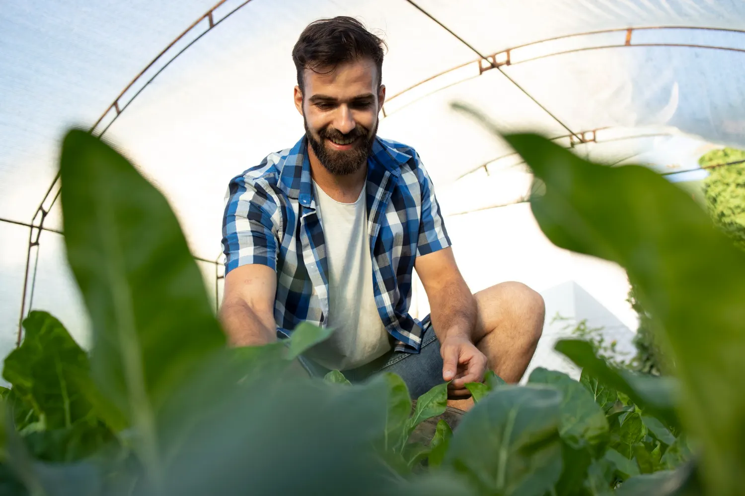 nuevos procesos de nom del campo